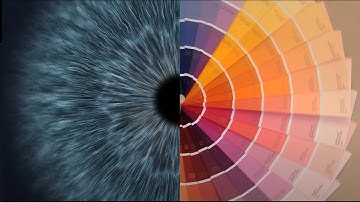 PMi Photo Man Image Wide format printing company ｜2021 Corporate Video