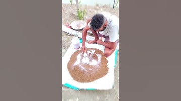 🐠 मछली को चारा खिलाने का सही तरीका|| #trendingshorts #shortfeed #pangasfish #fishing #fishfeeding