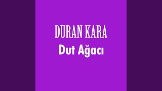 Dut Ağacı