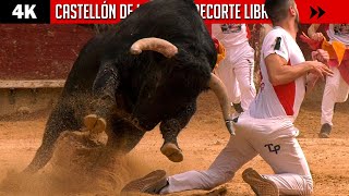 ¡RIESGO BAJO CERO! CONCURSO DE RECORTE LIBRE 2022 en CASTELLÓN DE LA PLANA (4K)