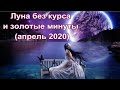 Луна без курса  и золотые минуты (апрель 2020)