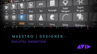 Maestro | Designer — Skeletal Animations