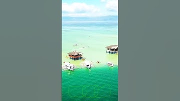 سورة المائدة وك.انك تسمعها لأ.و،.ل مر.ة 💙، 💓🌴 💚، ❤️🌳.🌱بصوت الشيخ حمزة مد،بو.ح🧡💛. 🌴❤️،. 🌱، 🌳💔