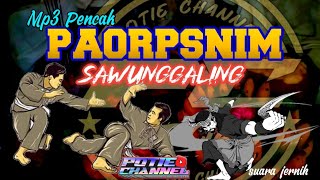 LAGU PENCAK SAWUNGGALING ✨ versi PAORPSNIM