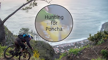 Hunting for Poncha