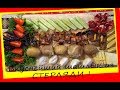 Очень вкусный шашлык из стерляди