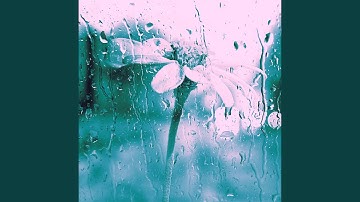 Terrific Moods for Calming Rain