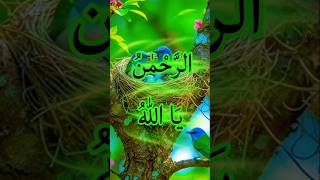 ‎Powerful Islamic insights|powerful names of Allah #islamicreminder#shorts #islamicstatus#shortsfeed