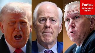 Trump Floats Pulling Todd Blanche’s Nomination Until Cornyn And Tillis Leave Senate
