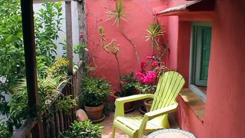Successful Garden Design Tips 2 - How to use colour in the garden effectively...