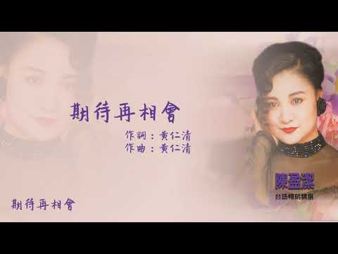 【Official Audio Lyrics Video】陳盈潔《台語暢銷精選》-〈期待再相會〉官方動態歌詞版MV