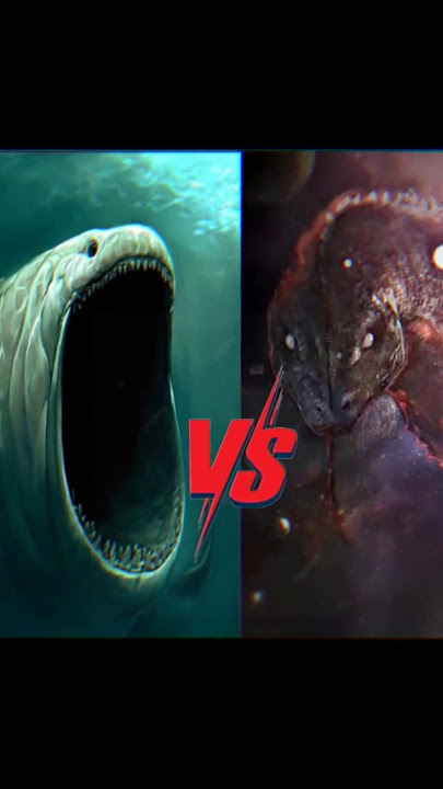 ikan Nabi Yunus vs ular Falak