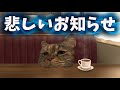【報告】皆様に大事なお知らせがあります