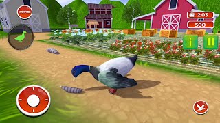 VILLAGE DUCK LIFE BIRD GAME ANDRIOD GAMEPLAY #1 screenshot 5