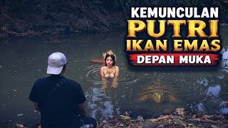 Golden Fish Princess and a Thousand-Year-Old Golden Turtle Appear in This River