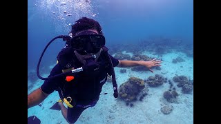 Discovering the Depths: Epic Scuba Diving Adventure in Phi Phi Islands 🌊🐠