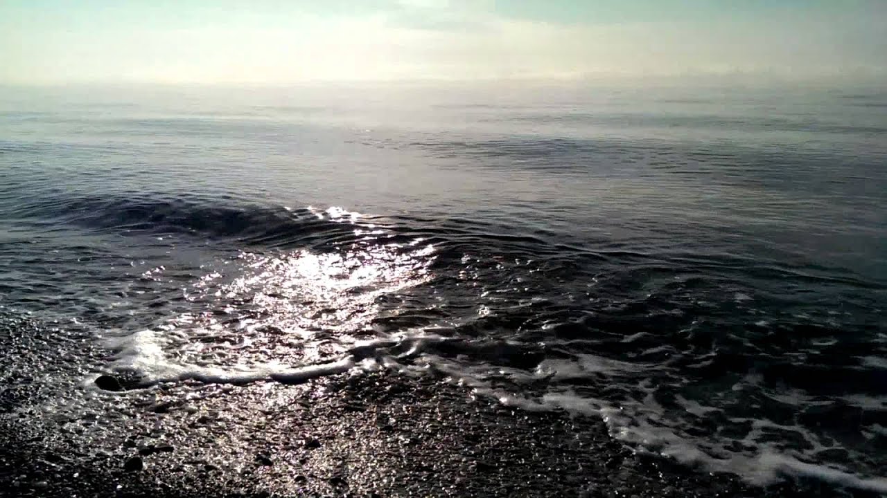 Погода гагра вода в море. Абхазия ноябрь море. Гагры стоки в море. Гагра море видео. Чукотское море\ Гагра положение.