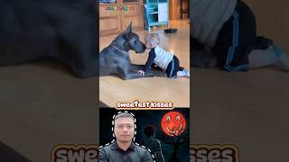 Baby Loves Dog - Sweetest Kisses