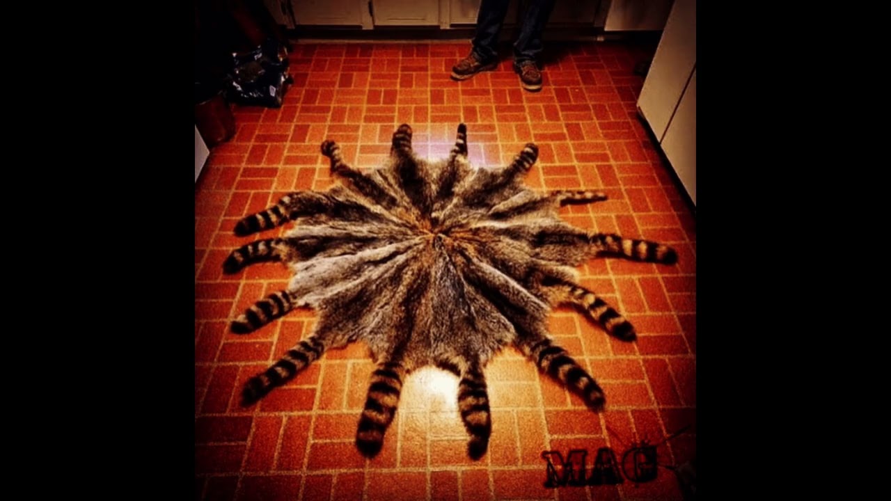 fakemink - Blow Me (instrumental) prod. mag