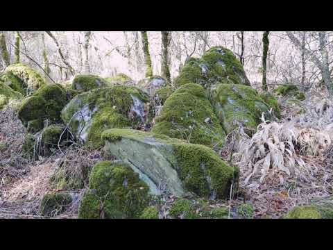 11354 Pleasant Valley Rd, Penn Valley, CA home video tour