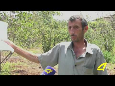 სოფელ გამარჯვებაში ზაზაძეების ეზო წლებია იტბორება 05 -07- 2017