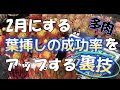 2月にする「葉挿しの成功率」をアップする簡単にできる”裏技”　　多肉生産者「pukupuku taniku」