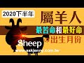 林海陽 2020鼠年下半年 生肖[羊] 最苦命和最好命的出生月份 20200811