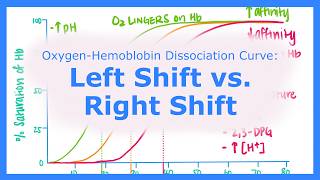 Left Shift vs. Right Shift of the Oxygen-Hemoglobin Dissociation Curve