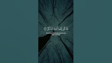 « أفلا ينظرون إلى الإبل كيف خُلقت » سورة الغاشية بصوت عبدالرحمن مسعد 🤍🎧