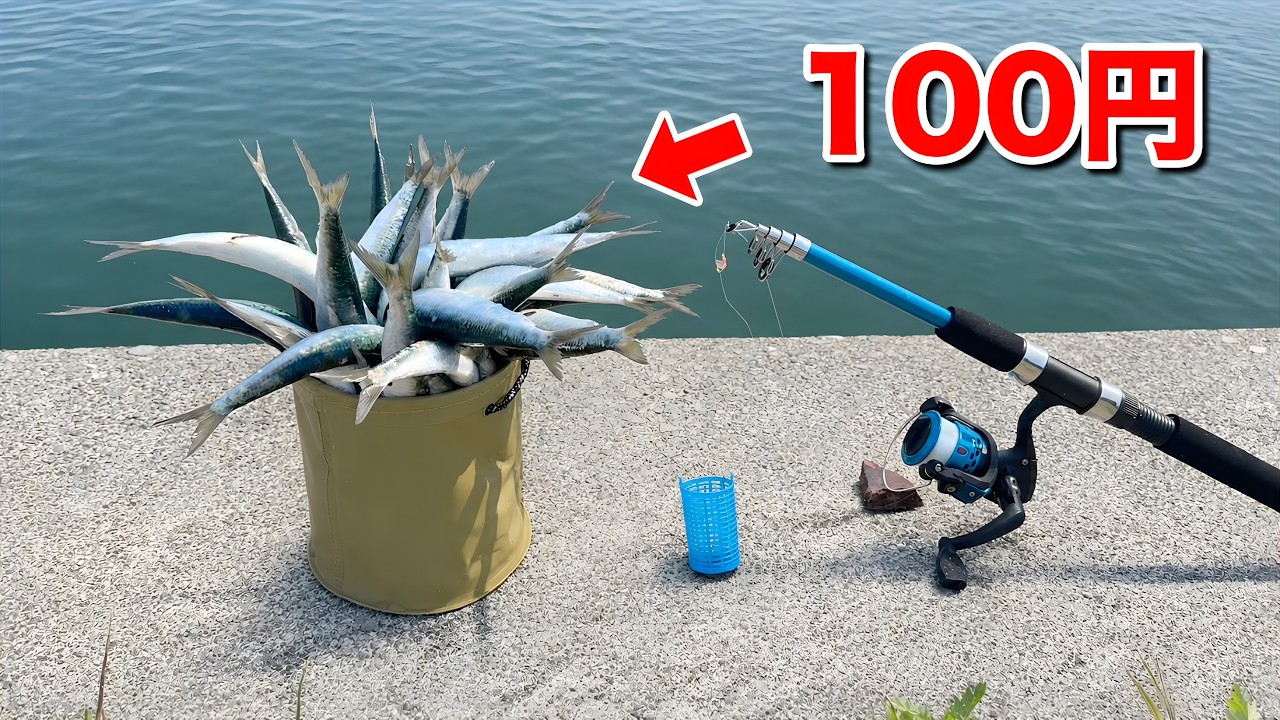 絶対にやるべき100均サビキ釣り。