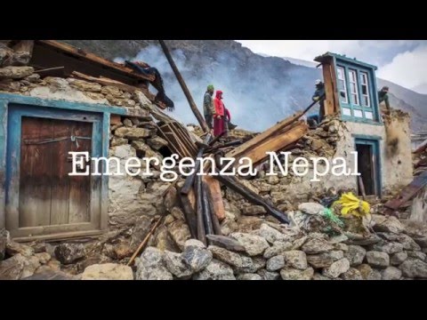 Video Yeshe Norbu Onlus