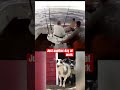 Another day at work #funny #memes #anime #relatable #humor