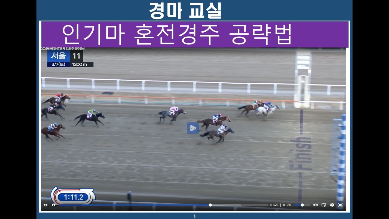 경마교실 / 인기마 혼전 경주/ 경마분석/ 경마공부/ 경마예상