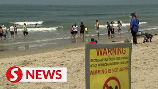 Swimmers flout bacteria warnings at beach in Los Angeles