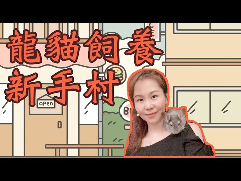 龍貓飼養新手村【EP1】初次養龍貓,先看完這集!腦波弱被推銷買一堆東西怎麼辦?新手飼養注意事項;龍貓飼料怎麼選?多久洗一次砂浴?飼養經驗談