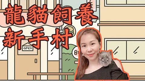 龍貓飼養新手村【EP1】初次養龍貓，先看完這集!腦波弱被推銷買一堆東西怎麼辦?新手飼養注意事項;龍貓飼料怎麼選?多久洗一次砂浴?飼養經驗談 - 天天要聞