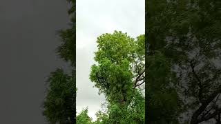 Koi Ladki H Jb Wo Official Channel