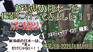 新潟県の日本一を撮影に行ってきました！！     撮影日 2026年8月1日
