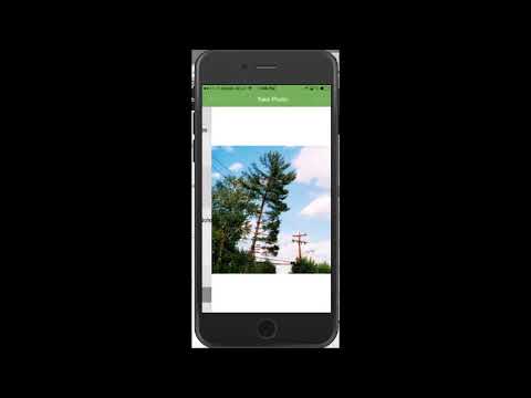 Electric Co-op: Vegetation Management