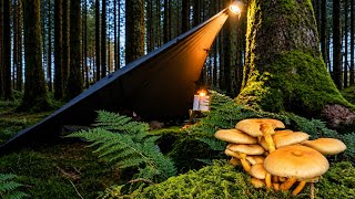 It Rained all Night • This Shelter kept us Dry and Warm.