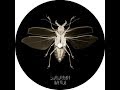 Savas Pascalidis Night Force Suburban Avenue 007 