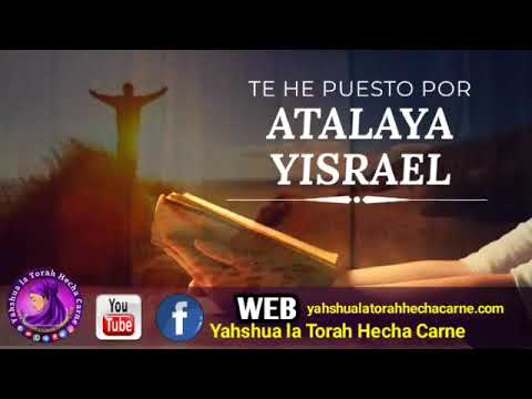 te-he-puesto-por-atalaya-yisrael---yahshua-la-torah-hecha-carne