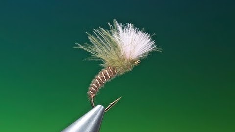Fly Tying a CDC Emerger with Barry Ord Clarke
