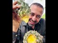 Growing Pineapples GetReadyForGreen Growing Vegetarian Agriculture Explore 