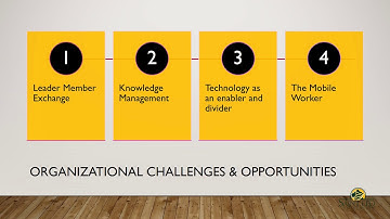 Foundations of Individual Behavior