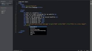 HTML Basic Bangla-Create a link