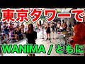 【音楽家ムック】東京タワーで突然、ドラムでWANIMA「ともに」叩いてみた！【ストリートドラム】【ドッキリ】street drum performance!!!!!