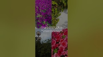سورة الأنفال | القارئ فارس عباد