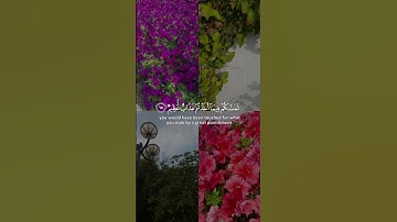 سورة الأنفال | القارئ فارس عباد