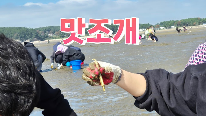 숙세미 패밀리 조개잡이 워크샵